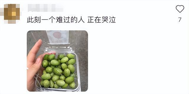 门徒登录：“拇指西瓜”突然火了！约100元一斤！有人表示“这味儿难评”！专家：营养价值一般