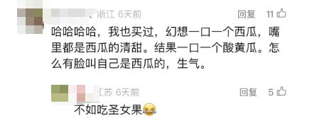 门徒登录：“拇指西瓜”突然火了！约100元一斤！有人表示“这味儿难评”！专家：营养价值一般